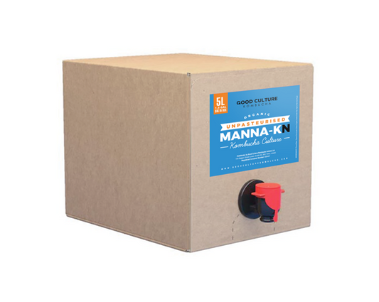 5 Litres of Manna-KN - Premium Black Tea Kombucha – Makes 35 Litres
